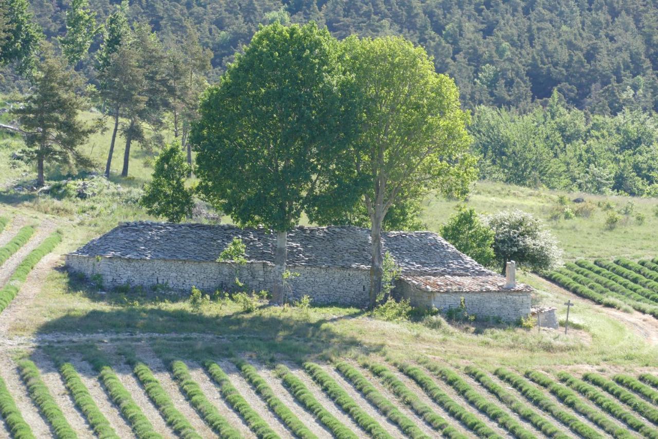 Bed and Breakfast Les Bois Rouges La Rochegiron Exterior foto